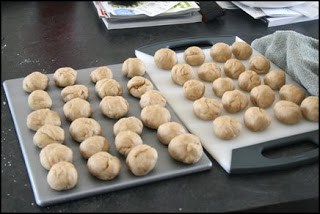 Homemade Tortilla Shells 