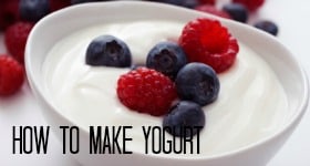 how-to-make-yogurt-1