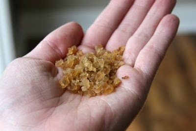 kefir grains