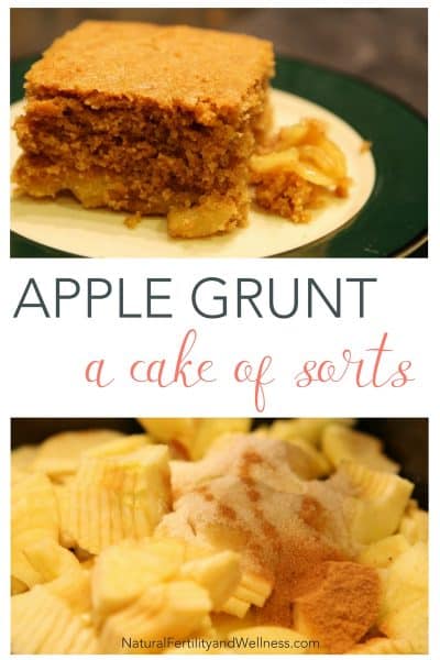 apple cake also known as apple grunt 