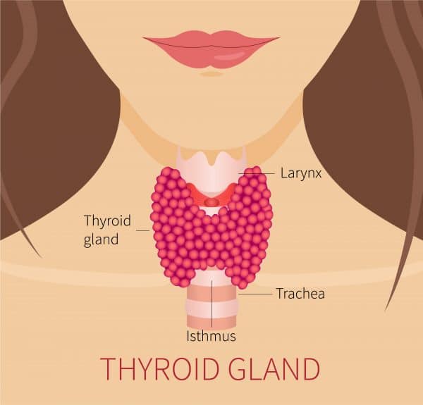 autoimmune thyroid condition