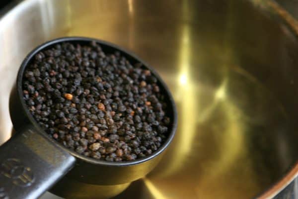 dried elderberries in measuring cup