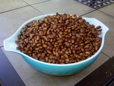 pinto beans