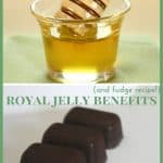 Royal Jelly Benefits