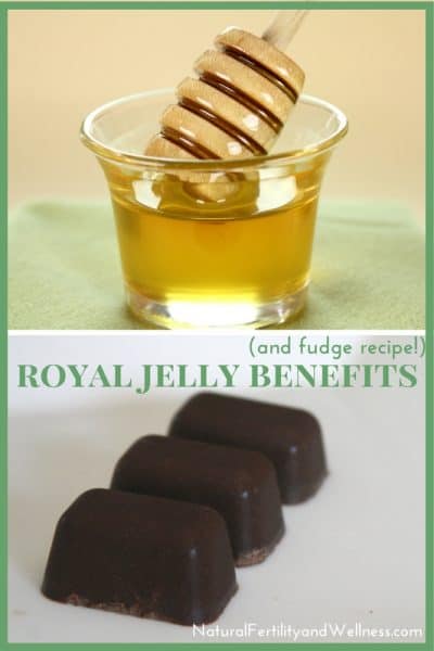 Royal Jelly Benefits 