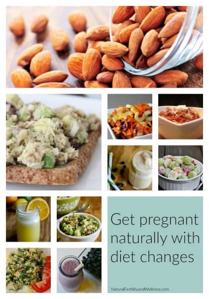 get pregnant trying diet changes
