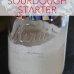 gluten-free sourdough starter