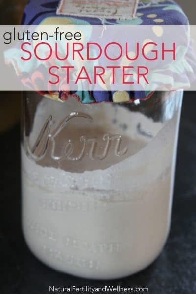 gluten-free sourdough starter