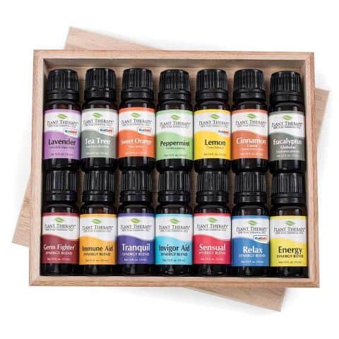 plant therapy essential oils