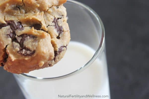 grain free chocolate chip cookie