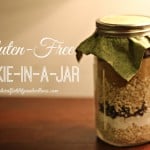 gluten free cookie in a jar