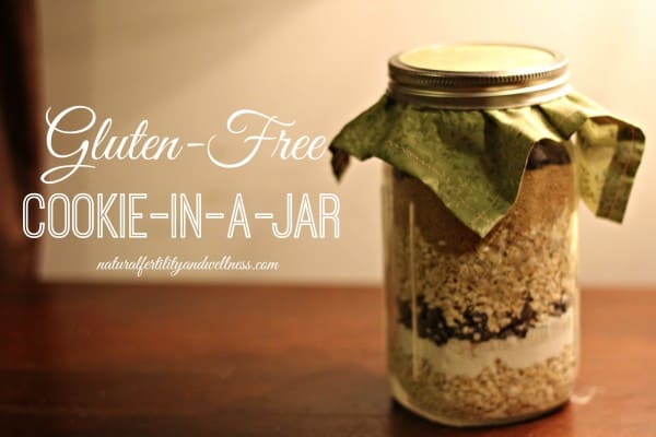 Gluten Free Oatmeal Cookie Mix