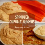 Chipotle Hummus (www.naturalfertilityandwellness.com)