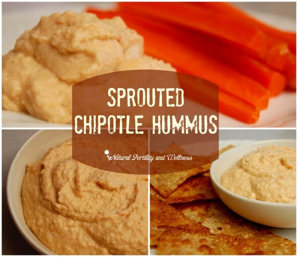 Chipotle Hummus, an awesome variation on a classic dip