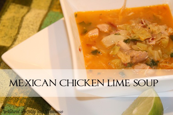 Mexican chicken lime soup 