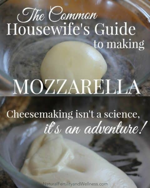 guide to making mozzarella