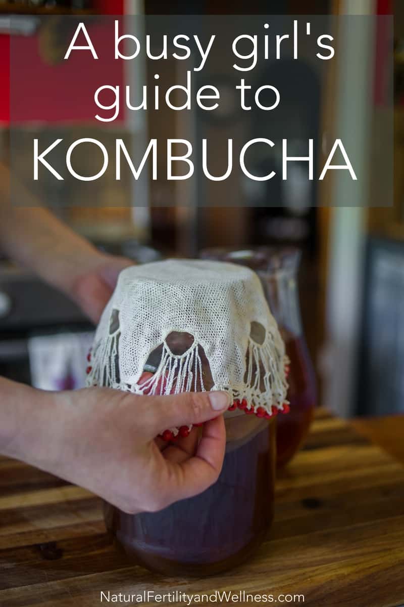 guide to making kombucha
