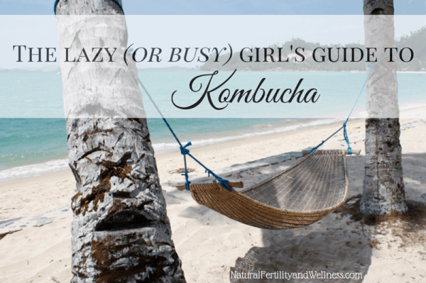 guide to kombucha