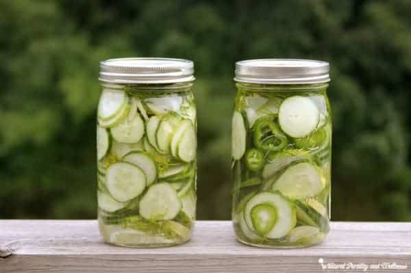 refrigerator dill pickles 