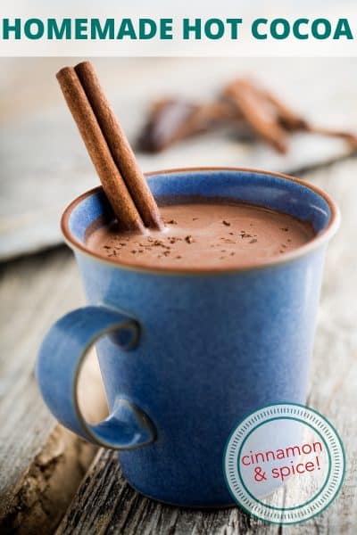 cinnamon and spice hot cocoa