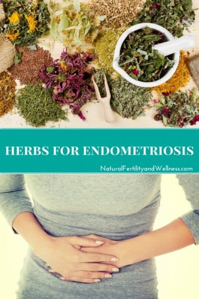 herbs for endometriosis